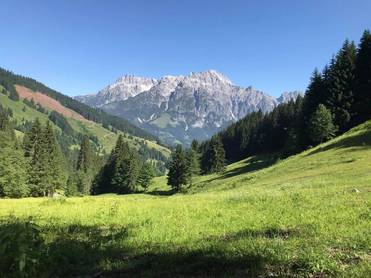 Untergrundgut Villa Leogang Eksteriør billede